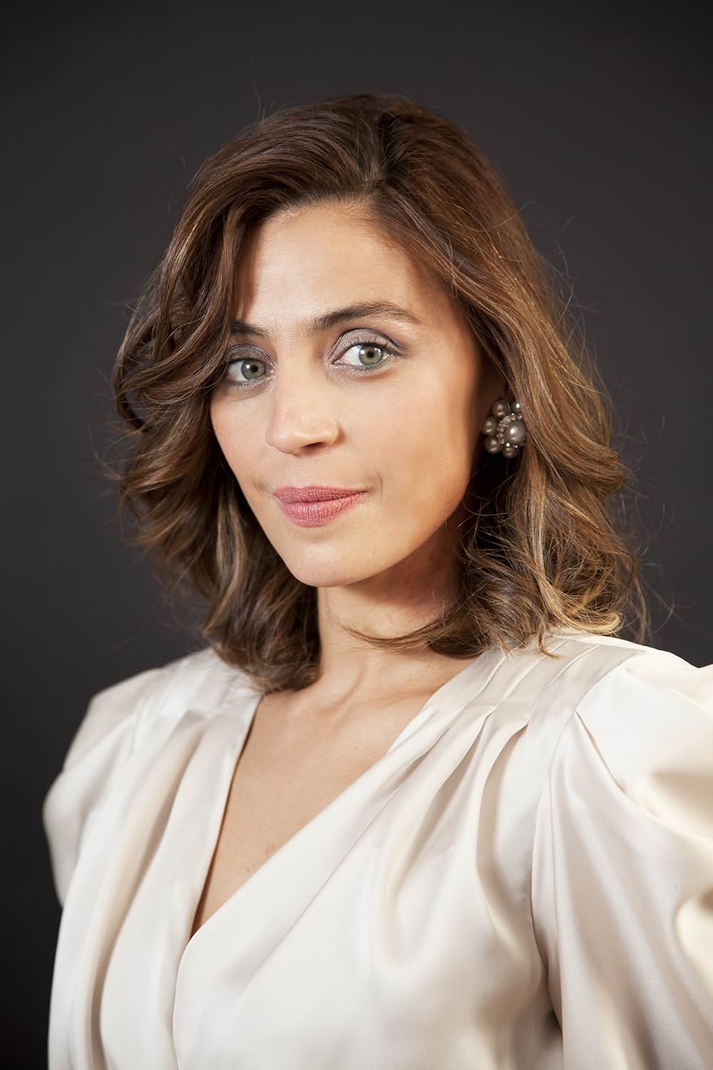 グッド・ワイフの画像