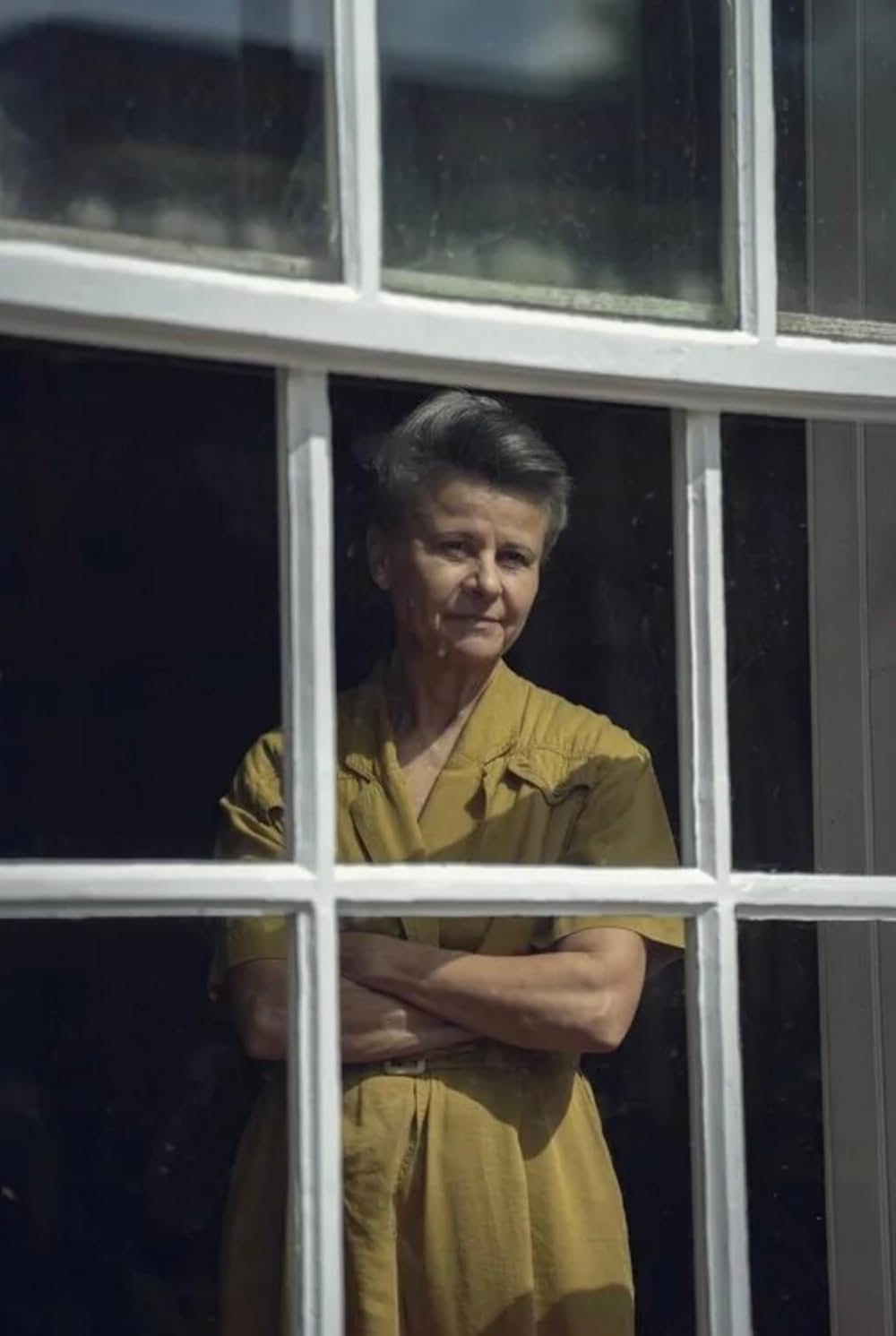 スティーヴの画像