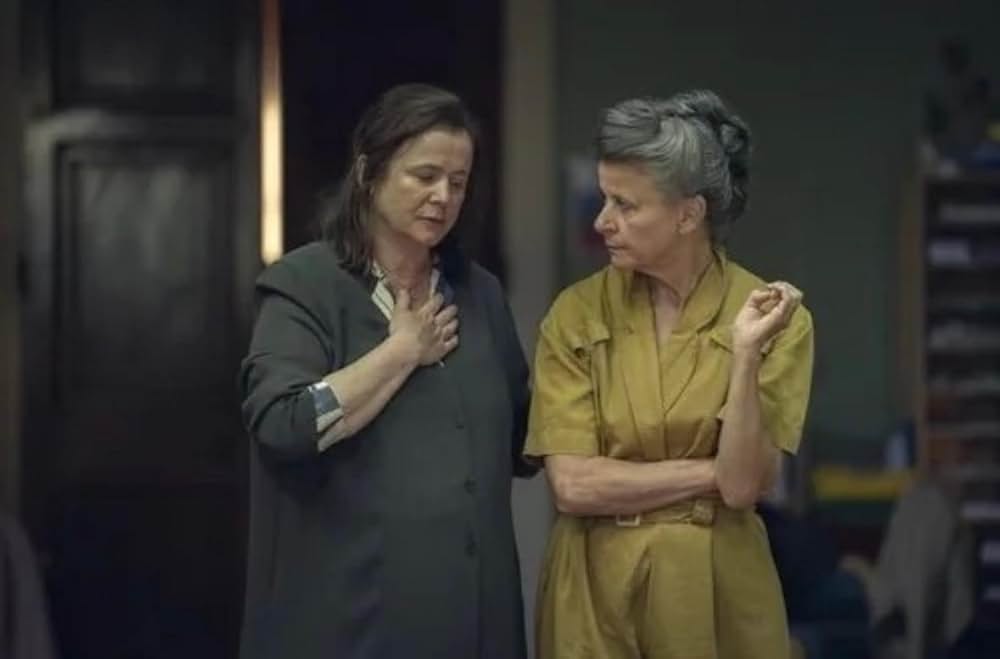 スティーヴの画像