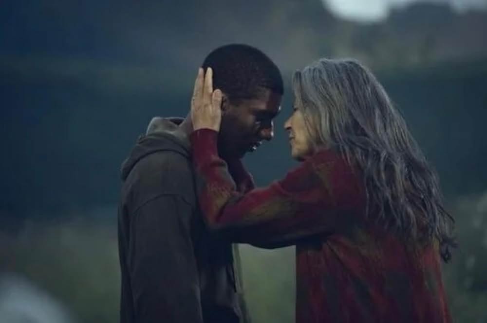 スティーヴの画像