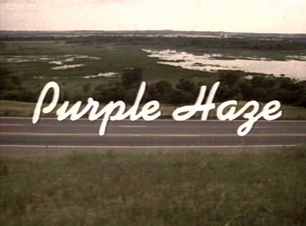 パープル・ヘイズ／紫のけむりの画像