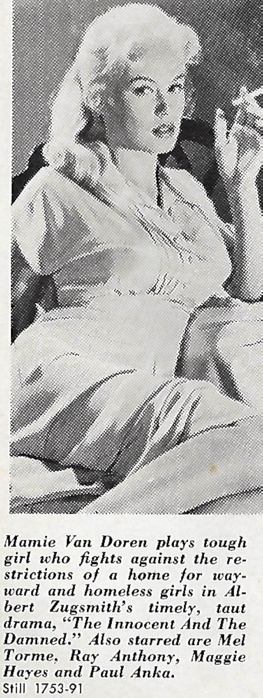 非情の青春の画像