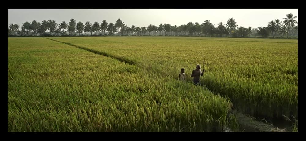 おじいちゃんの嘘の画像