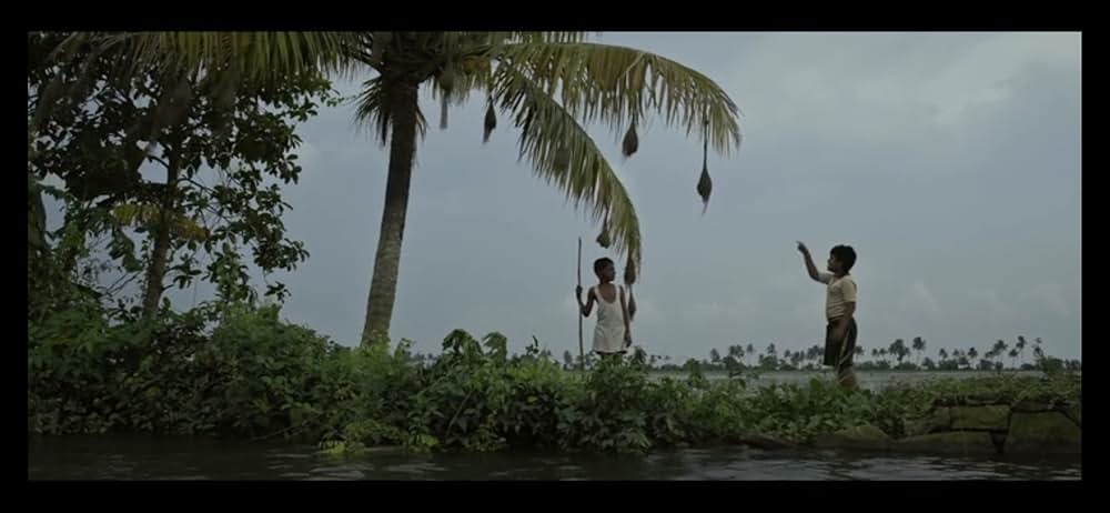 おじいちゃんの嘘の画像