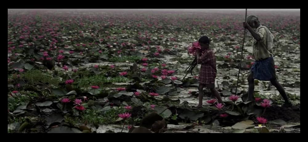 おじいちゃんの嘘の画像