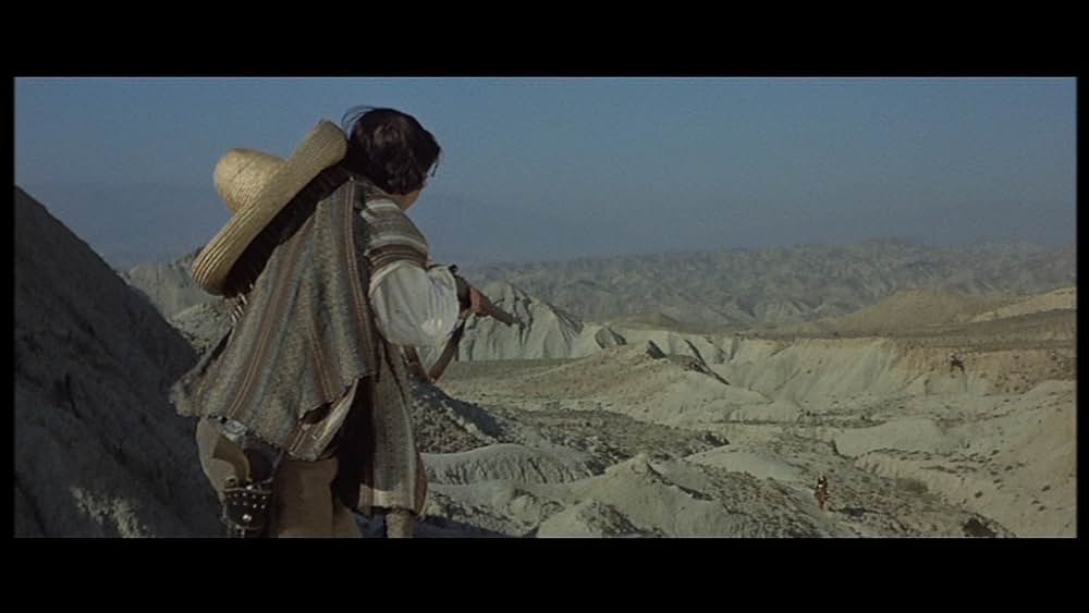 ガラガラ蛇の夜の画像