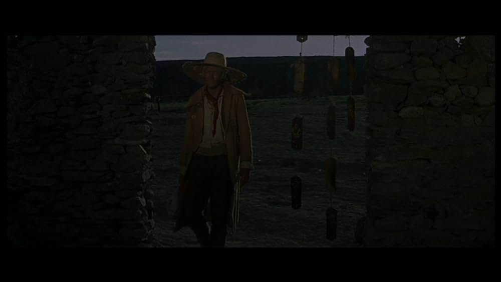 ガラガラ蛇の夜の画像