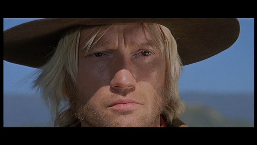 ガラガラ蛇の夜の画像