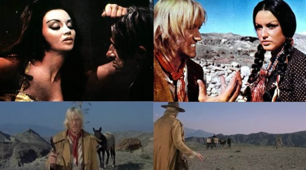 ガラガラ蛇の夜の画像