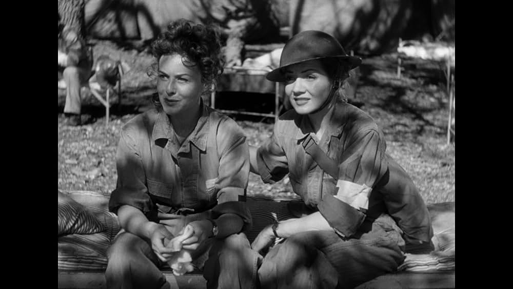 戦場の天使の画像