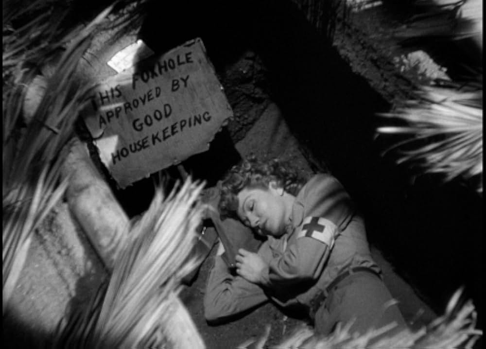 戦場の天使の画像