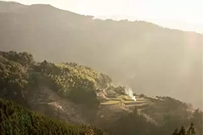 しゃぼん玉の画像