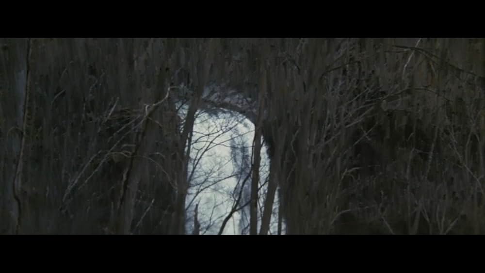 青春の蹉跌の画像