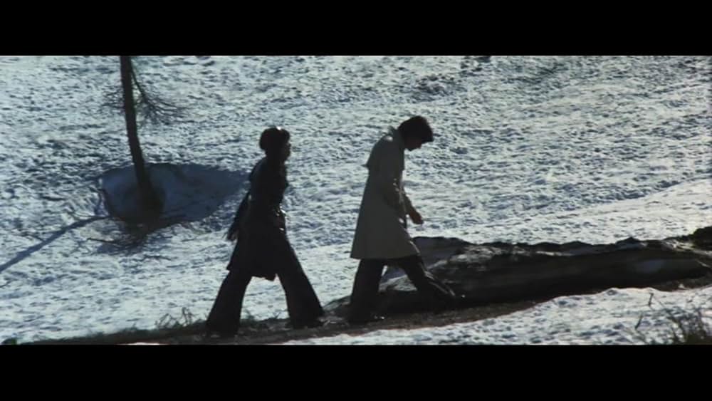 青春の蹉跌の画像