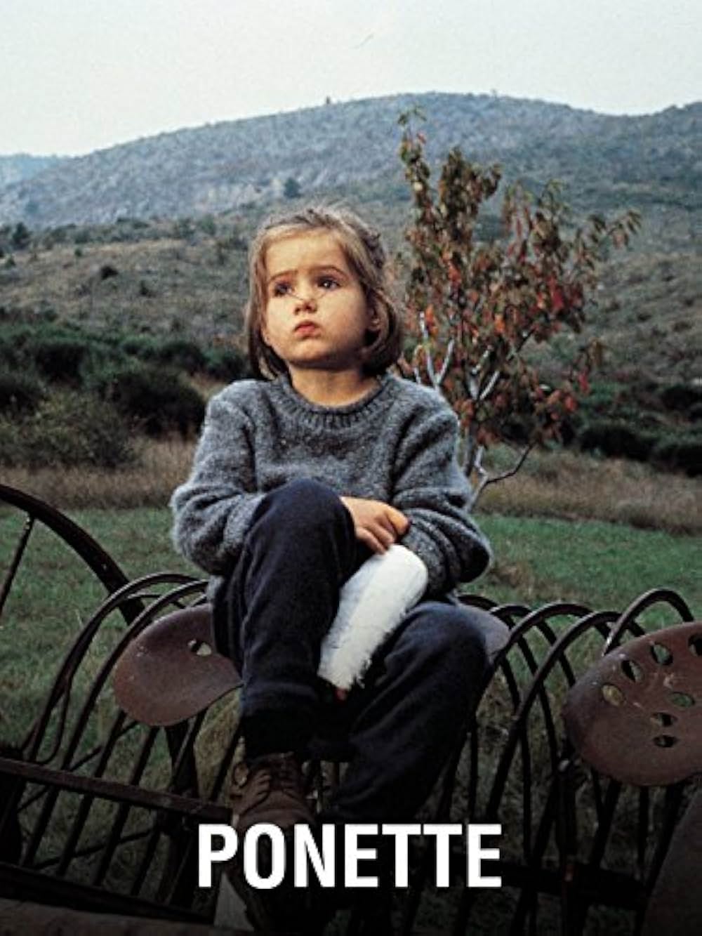 ポネットの画像