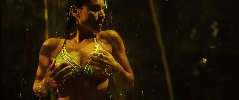 Dil Bole Hadippa!の画像