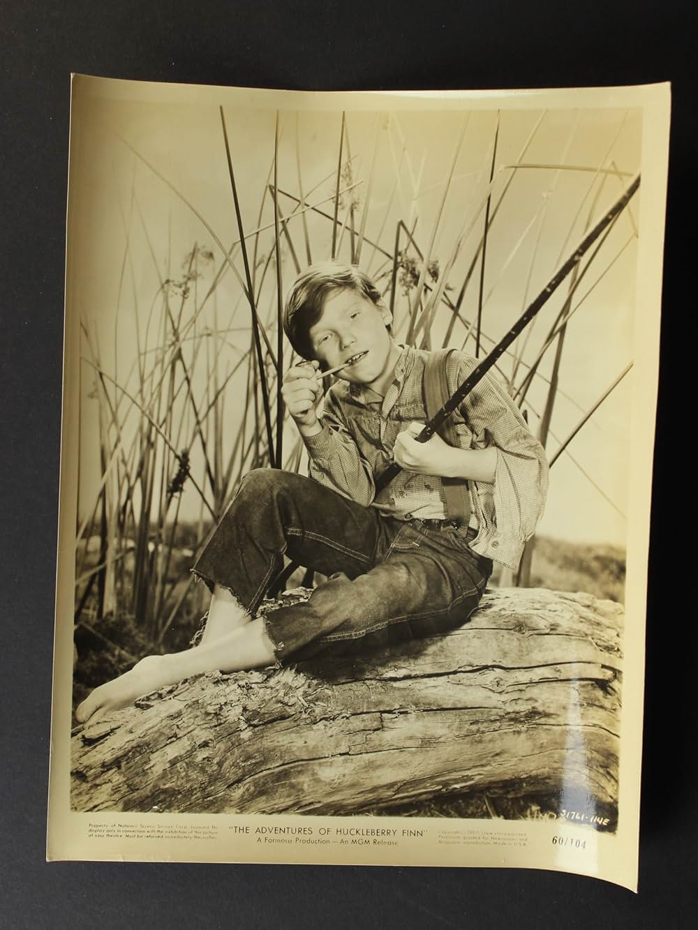 ハックルベリーフィンの冒険の画像