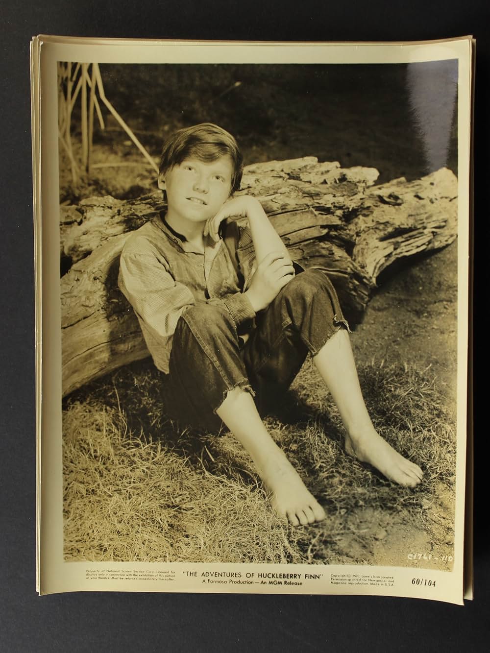 ハックルベリーフィンの冒険の画像