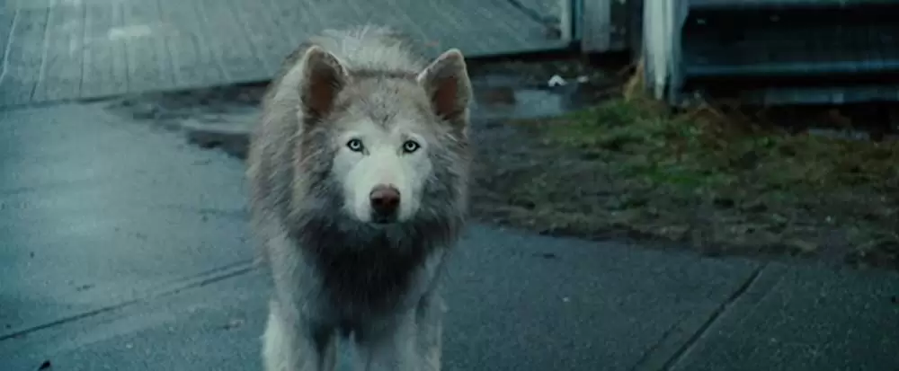 パッセンジャーズの画像