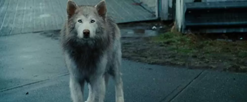 パッセンジャーズの画像