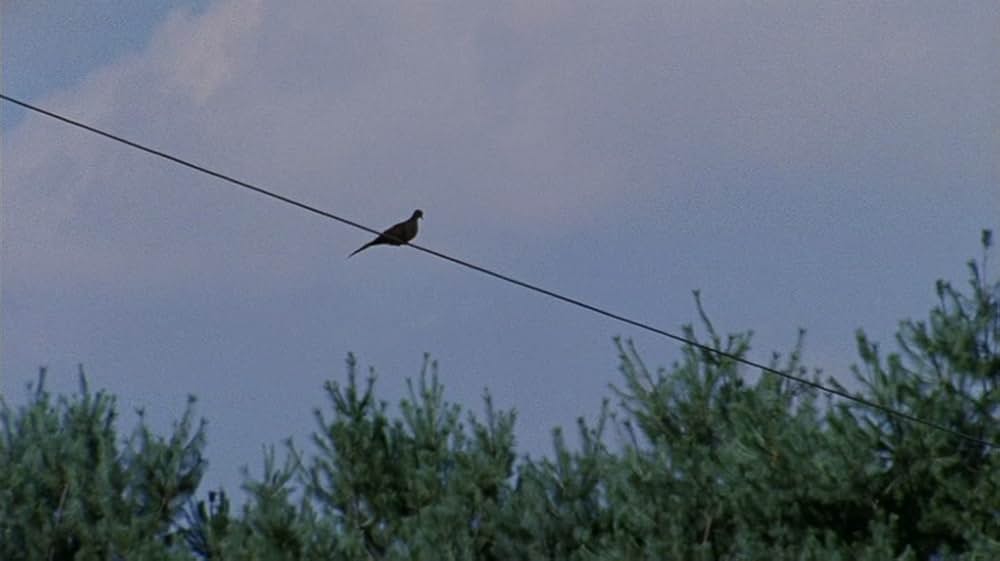 ジューンバッグ（原題）の画像