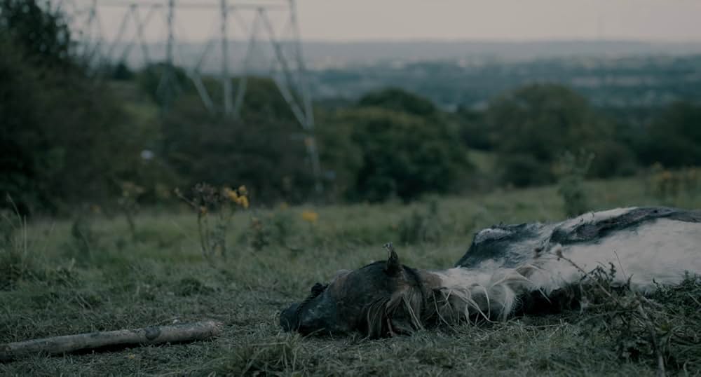 わがままな大男の画像