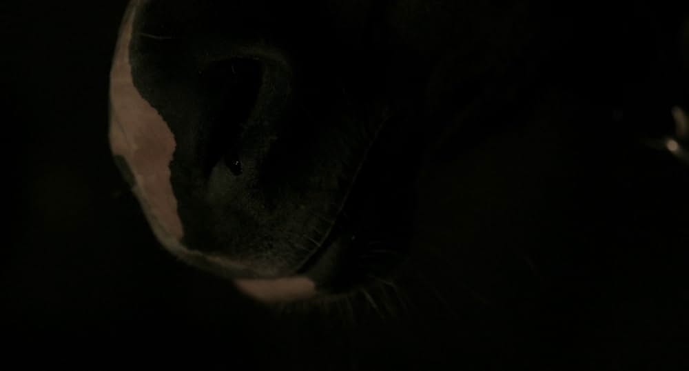 わがままな大男の画像