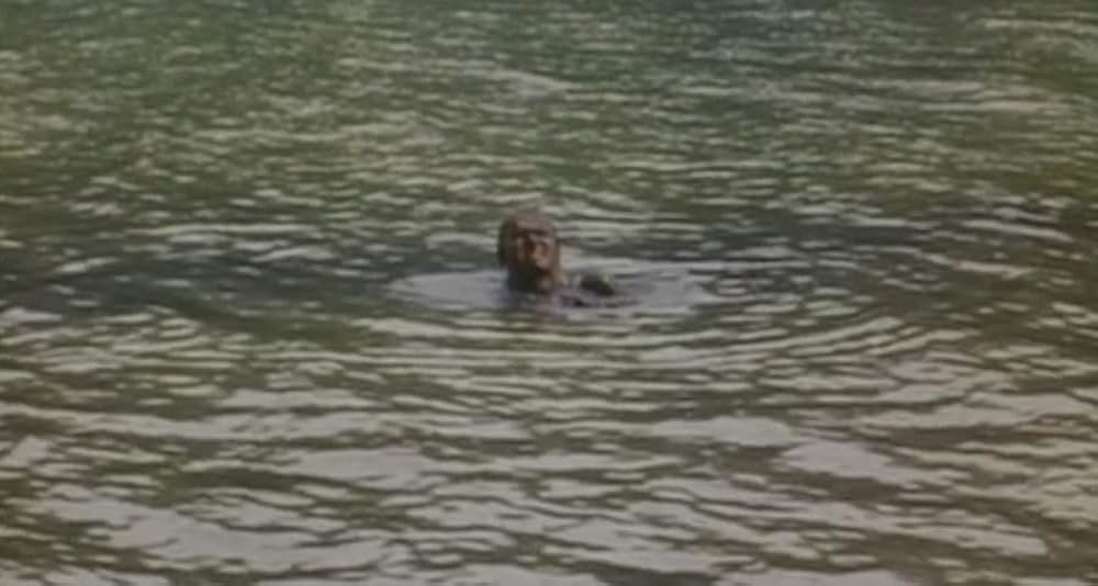 A Night to Dismember（原題）の画像