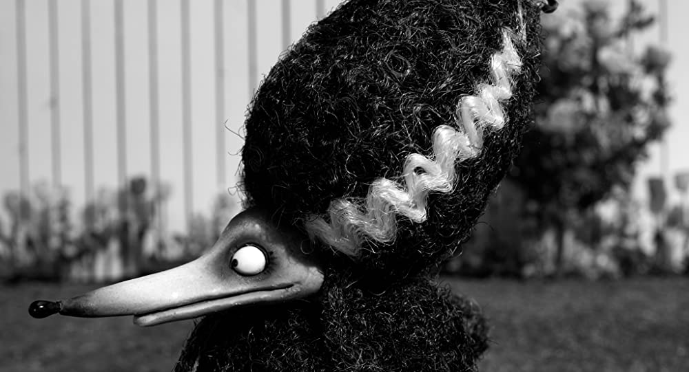 フランケンウィニーの画像