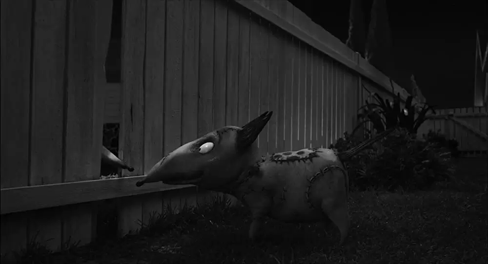 フランケンウィニーの画像