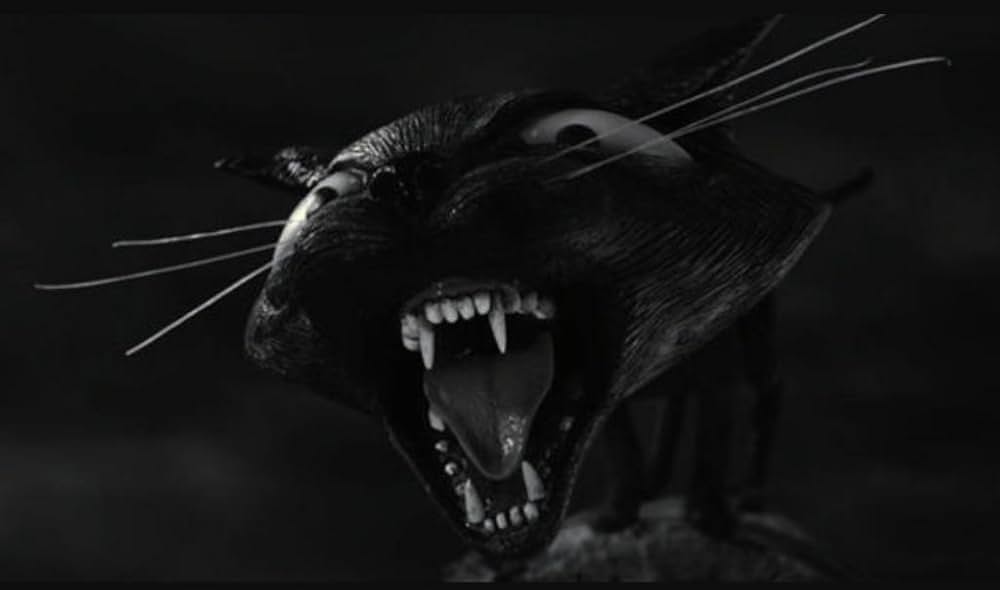 フランケンウィニーの画像