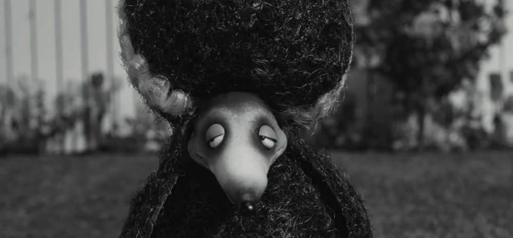 フランケンウィニーの画像