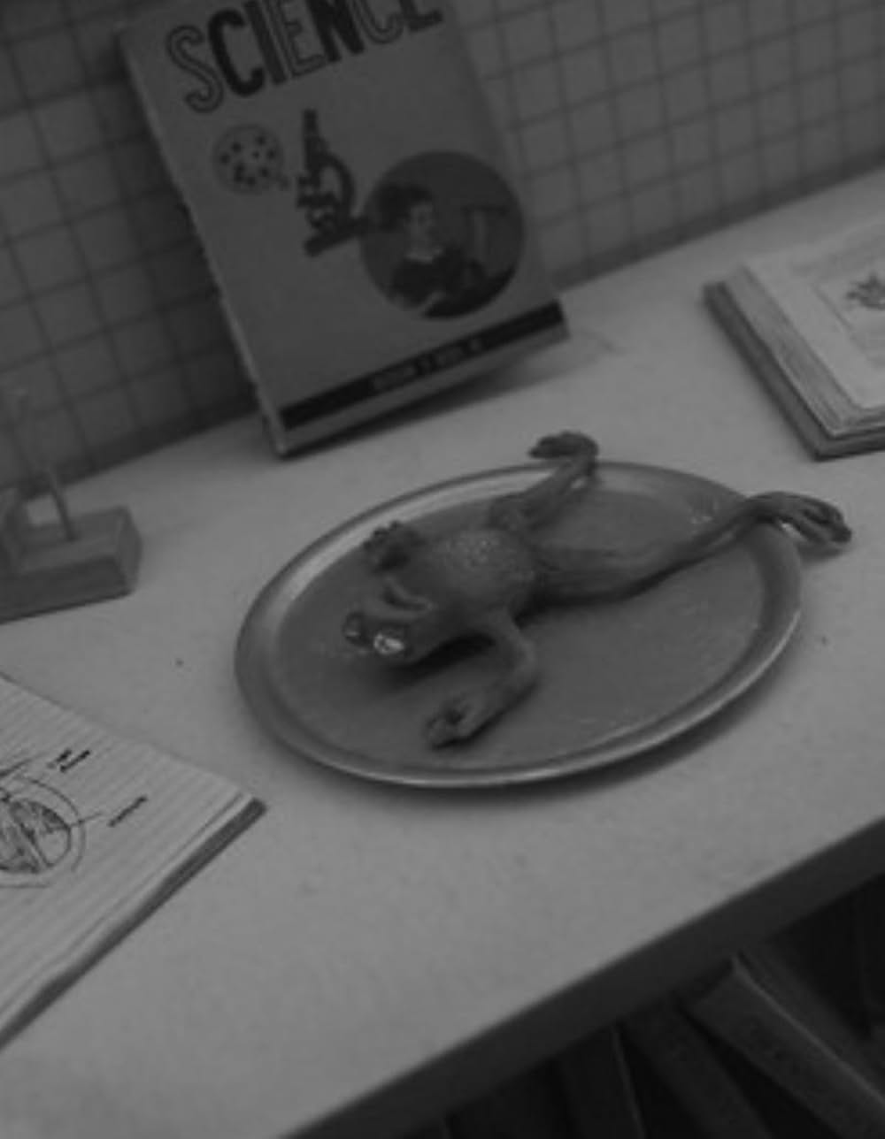 フランケンウィニーの画像