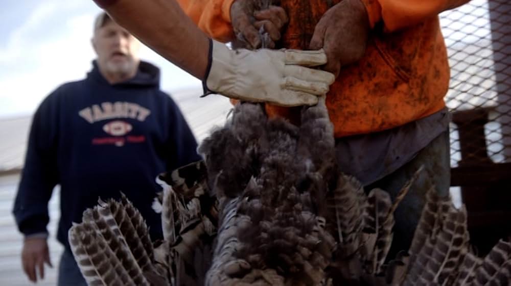 Eating Animals（原題）の画像