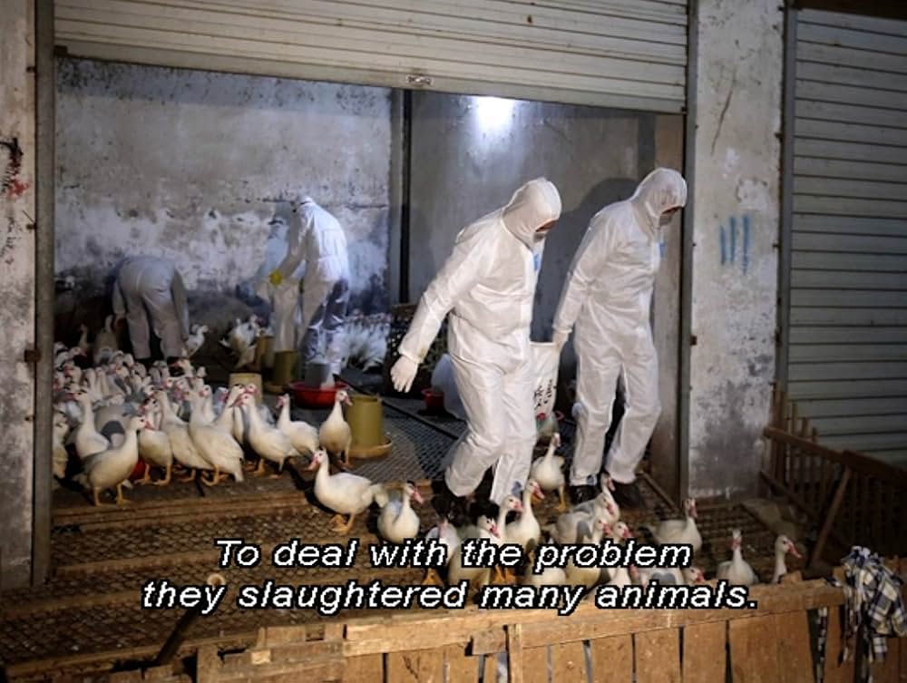 Eating Animals（原題）の画像