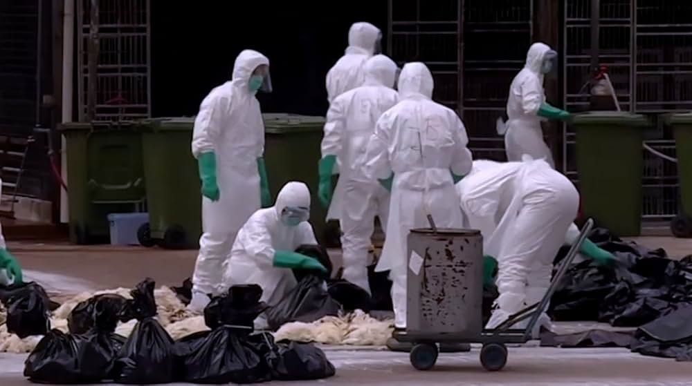 Eating Animals（原題）の画像