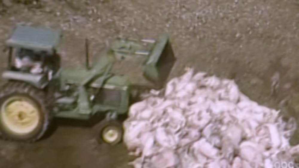 Eating Animals（原題）の画像