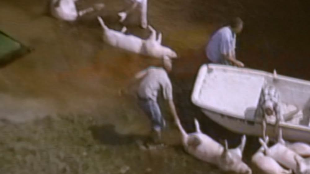 Eating Animals（原題）の画像