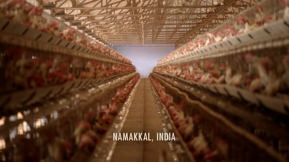 Eating Animals（原題）の画像