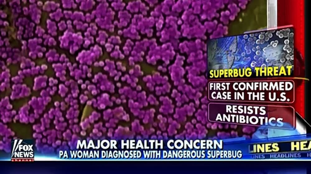 Eating Animals（原題）の画像