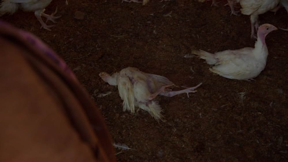 Eating Animals（原題）の画像