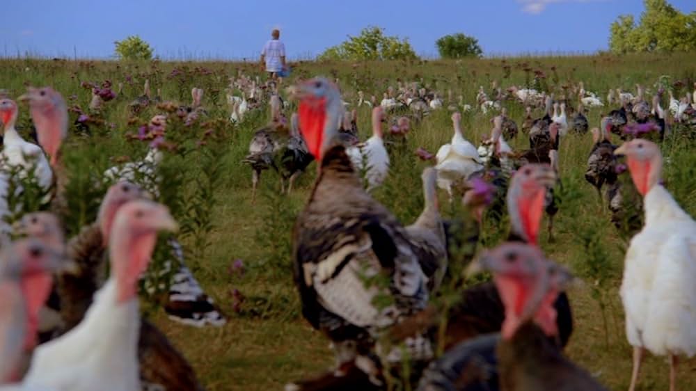 Eating Animals（原題）の画像