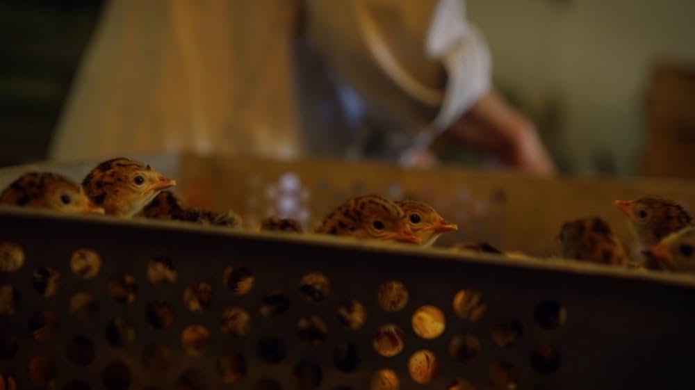 Eating Animals（原題）の画像