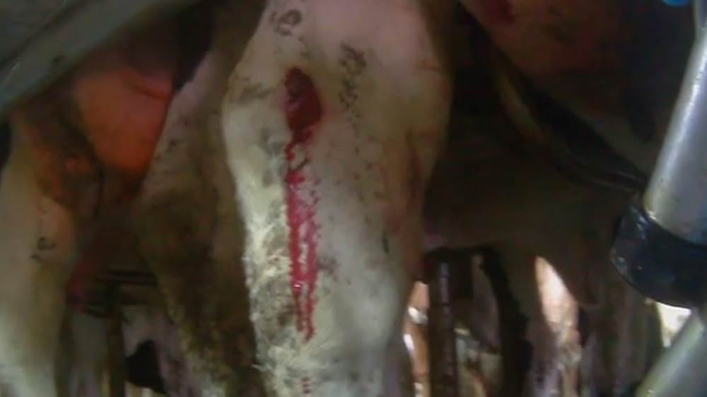 Eating Animals（原題）の画像