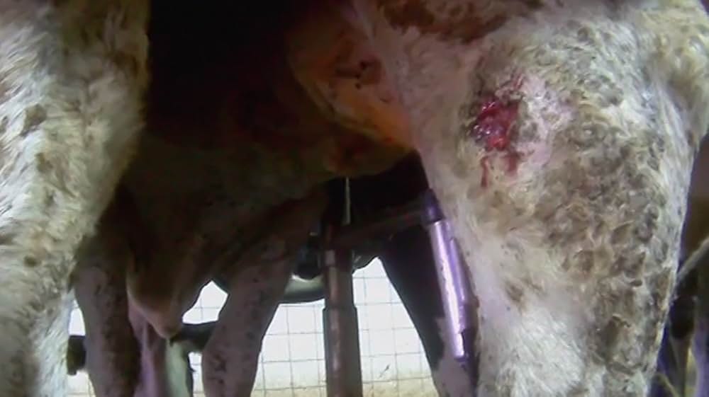 Eating Animals（原題）の画像