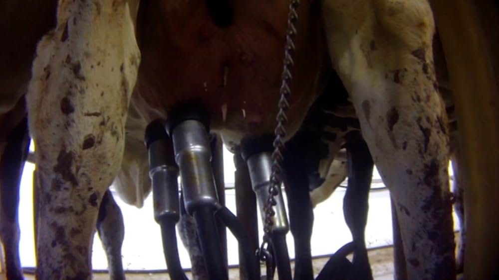 Eating Animals（原題）の画像