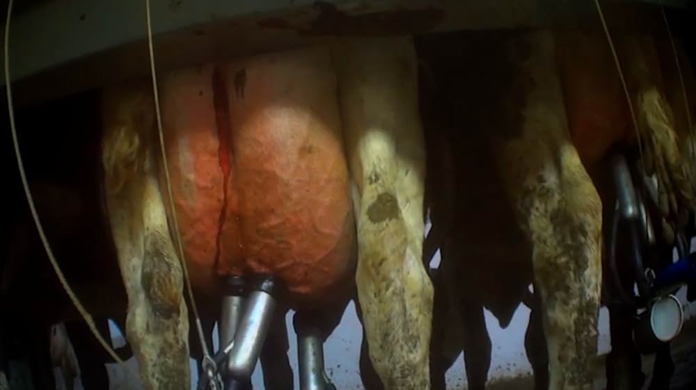 Eating Animals（原題）の画像