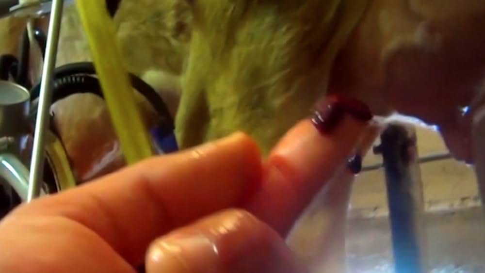 Eating Animals（原題）の画像