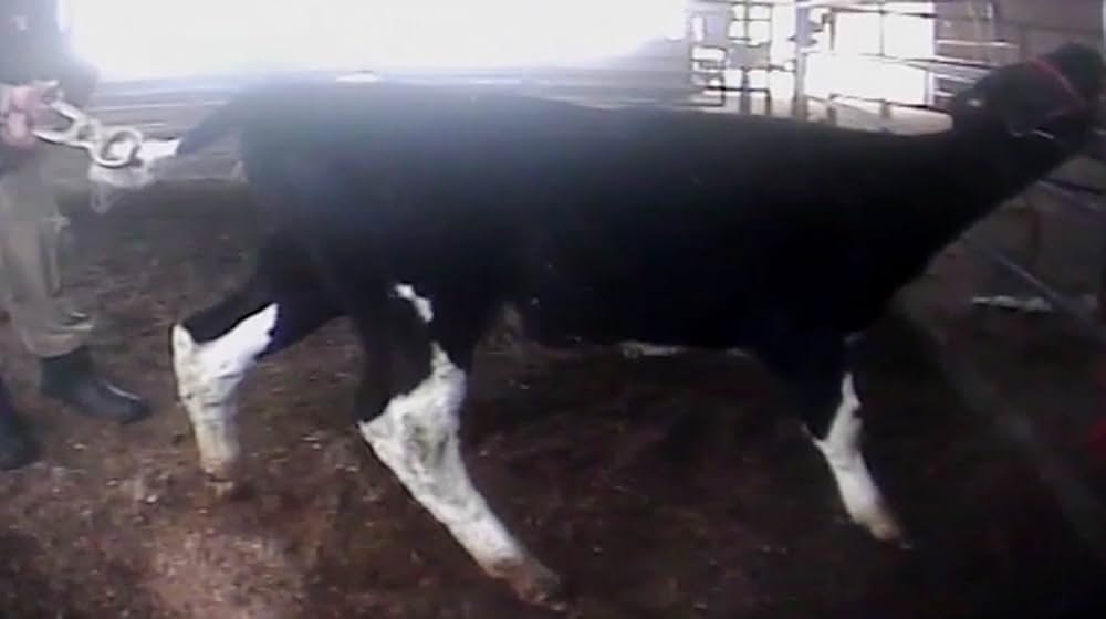 Eating Animals（原題）の画像