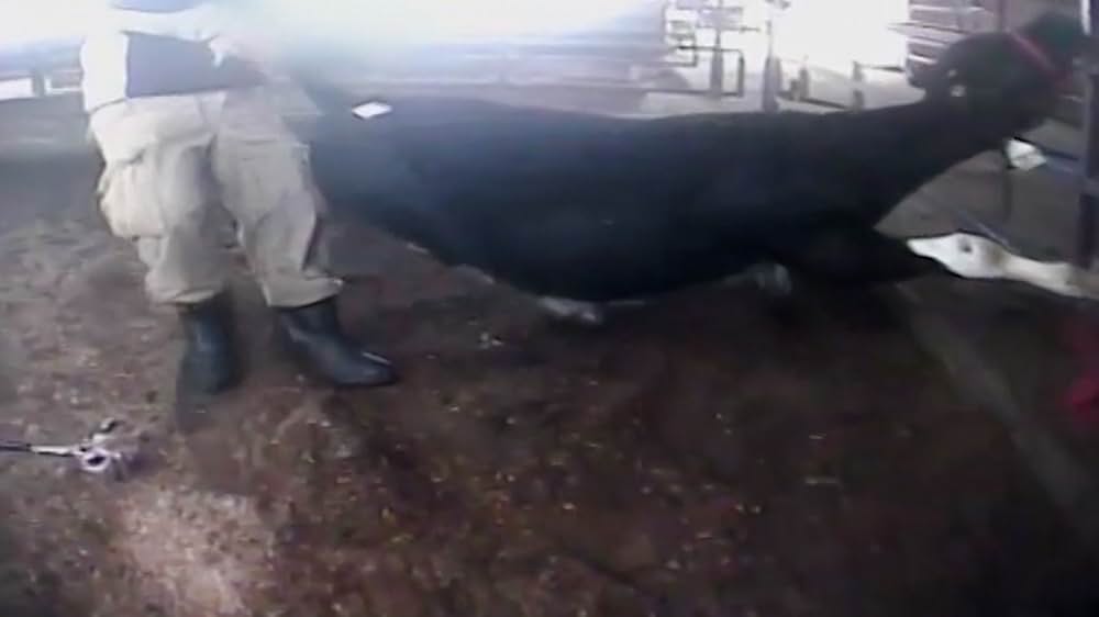 Eating Animals（原題）の画像